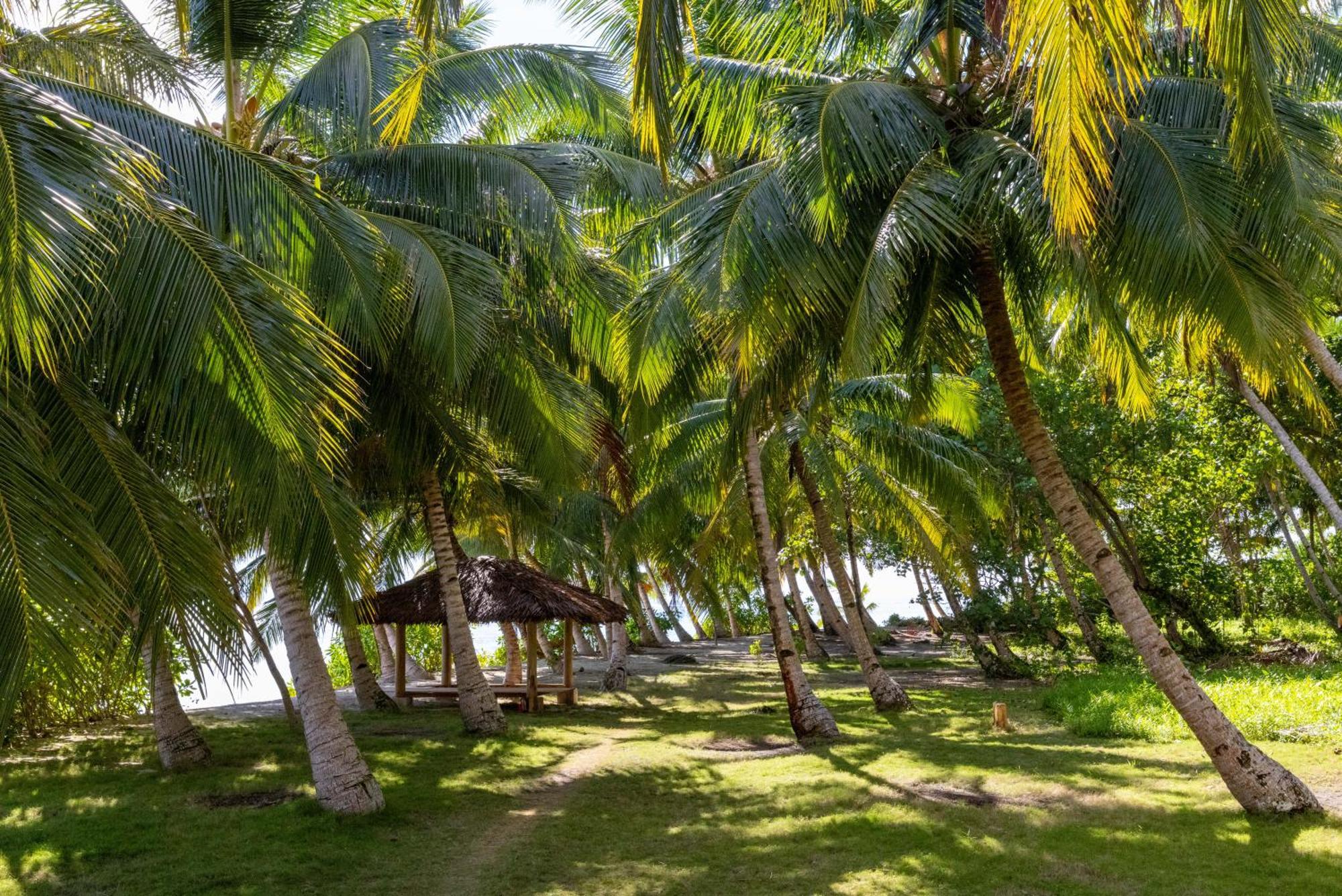 Aloita Resort Mentawai 투아페잣 외부 사진